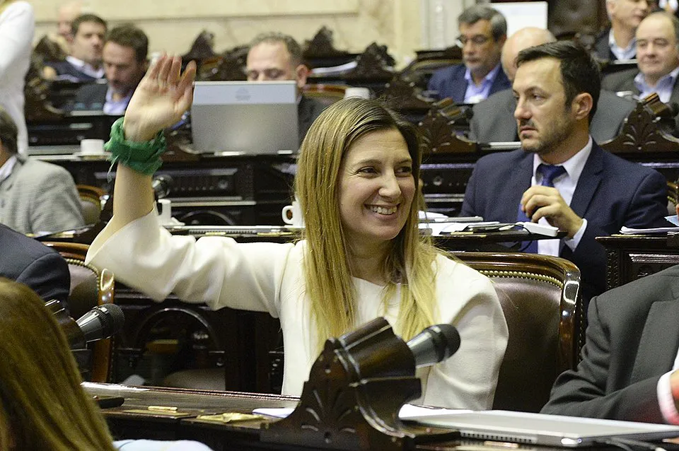 Sesión_13-06-2018_Diputada_Lospennato_19