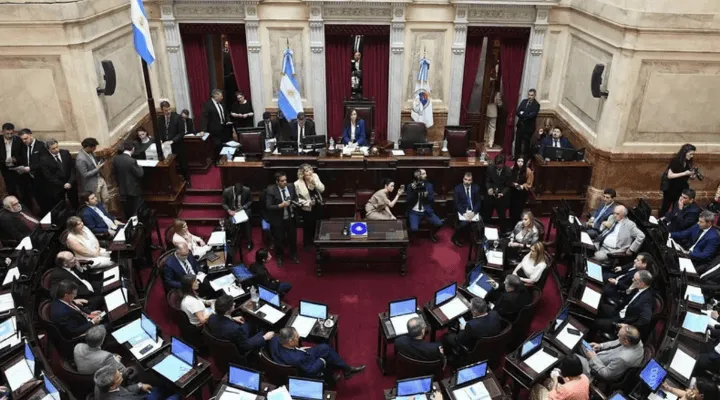 senado-la-nacion_-1-.png_865645032