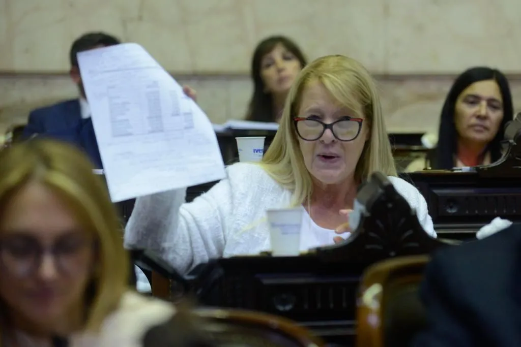 Stolbizer-Presupuesto-2022