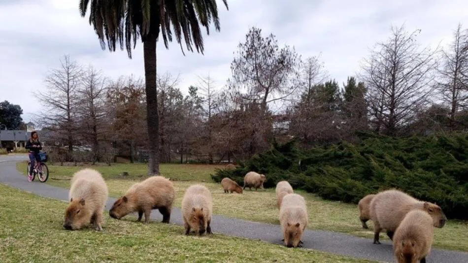 ESDB4ZTHXNAFPHEF2O6XDM6IAI