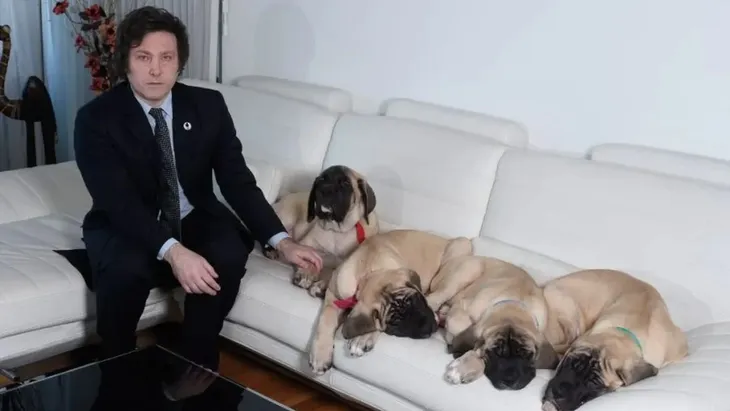 perros-mileiwebp
