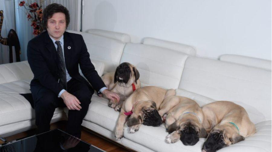 javier-milei-junto-a-sus-perros-1670781