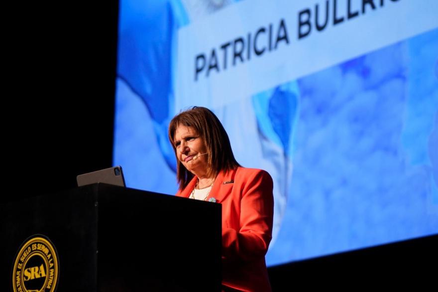 20230412182713_bullrich_patricia_sra