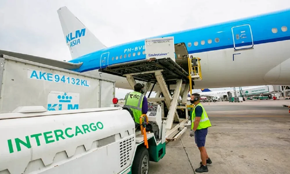 multimedia.normal.81ace1b4ea1934bb.bm9ybWFsLndlYnA=