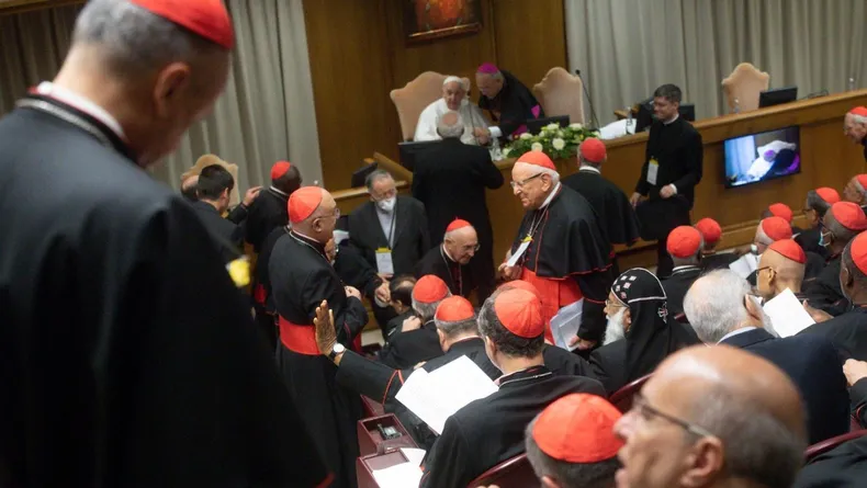 el-papa-francisco-cardenales