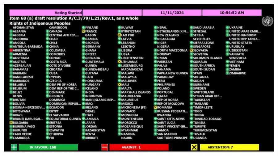 onu-pueblos-indigenas-1909654