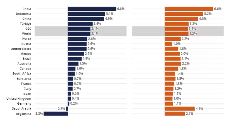66338dd56ee55__800x800